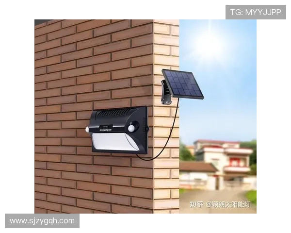 颖朗太阳能灯成新鹏城公益伙伴